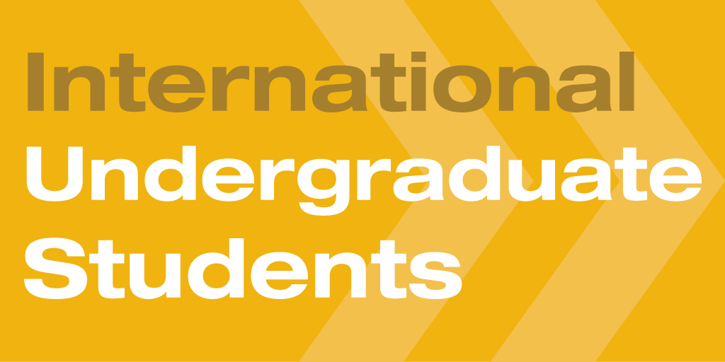 International Undergraduate Students